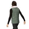 Regatta Womens/Ladies Wildrose Baffled Gilet
