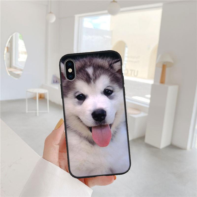 LO53 Husky Puppy Dog Soft Shell Phone Case for iPhone SE X XS XR 11 16E 17 Pro Max Air 8 7 6 6s Plus