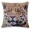 Tiger Lion Pillowcase Home Decor Geometric Pillowcase Sofa Animal World Portrait Cushion Cover