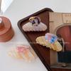 Gradient Color Unique Vintage Hair Claw Clip With Artistic Shell Design Women For