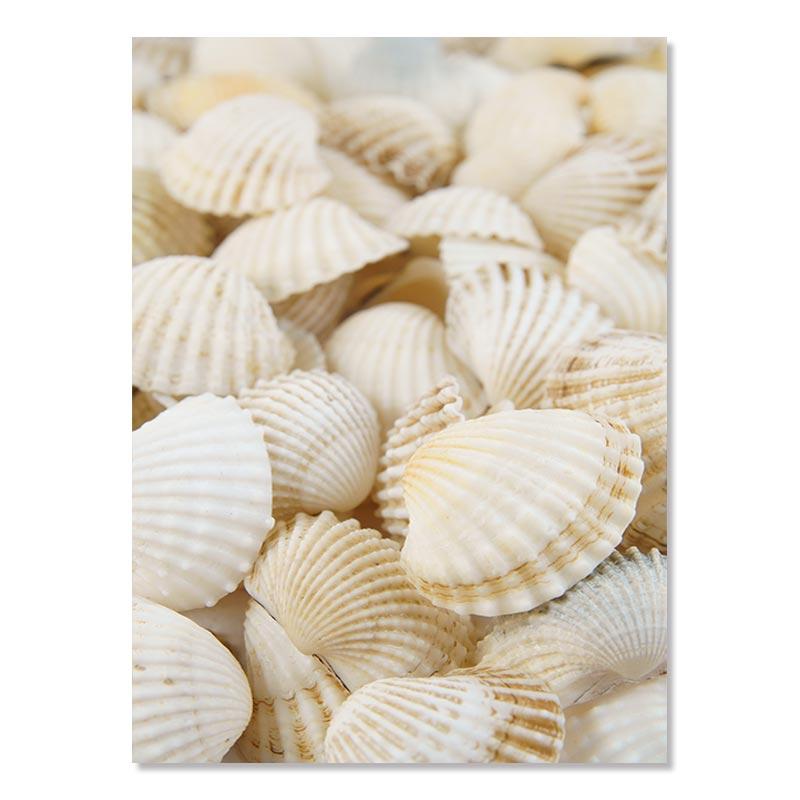 Пляжная декорация Живопись Постер Океан Белые ракушки Мост Природный пейзаж Настенное искусство Скандинавский холст Принт Картина Для декора дома