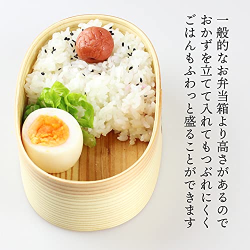 Овальный кот-бенто Fujishiro Kogei Magewappa закончился в Японии (470ml (натуральный) Кошка)