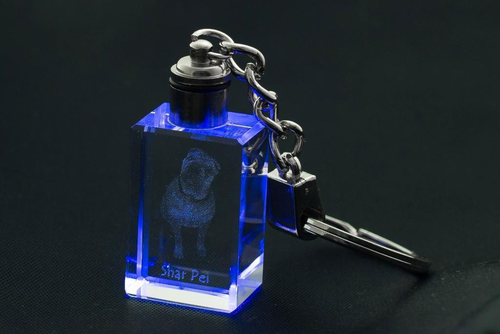 Shar Pei – Crystal key ring with dog photo, illuminated key ring | Art-Dog