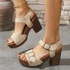 Trend Square Metal Buckle Thick High Heel Sandals Women's Summer New Platform Sandels Rivet Decor Plus Size 43 Sandalias