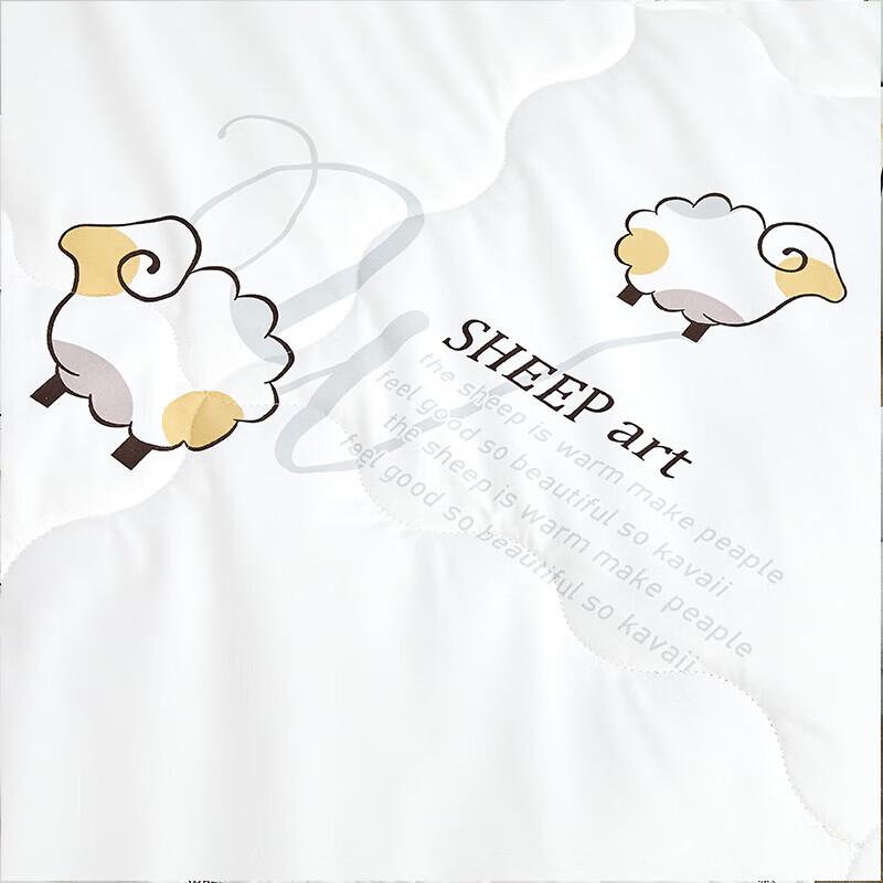 Jieliya Light Luxury Washable Wool Blend Quilt