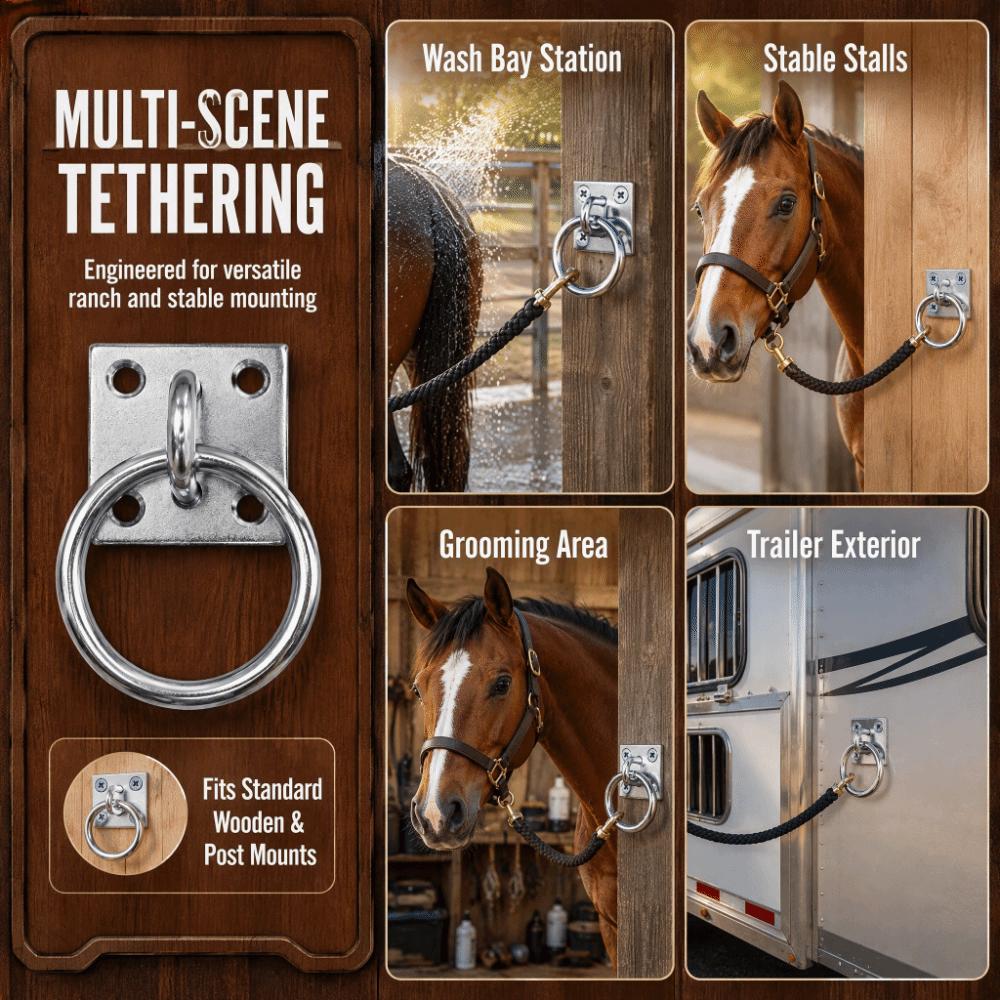 1 set Durable Horse Tie Ring Zinc Plated Horse Hitching Plate Reliable Tie Ring Plate Brushing