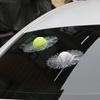 Creative 3D Funny Glass Sticker Tennis Baseball DIY Crazy Car Auto Supplies