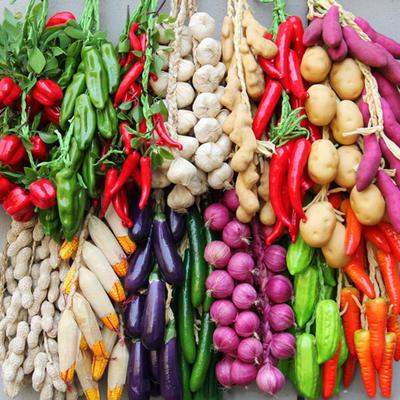 Искусственные овощи на нитке, имитация овощной гирлянды, реалистичные декоративные поддельные овощи для дома, фермерского дома, кухни, фермерской вечеринки, настенное украшение