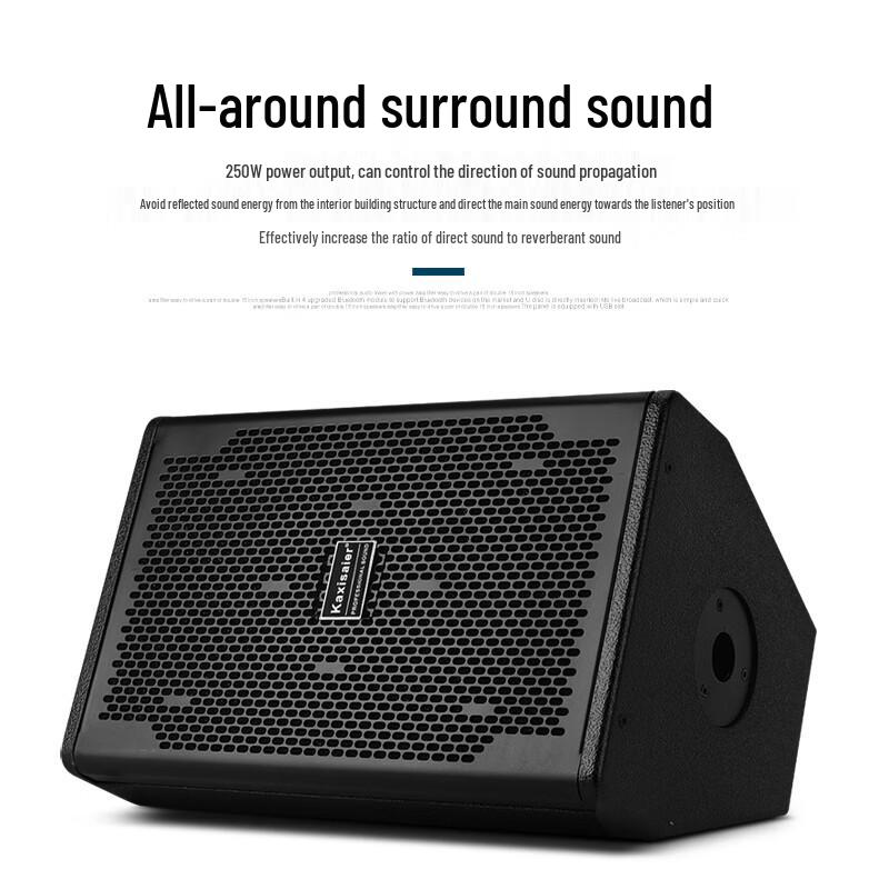 KAXISAIER A-Series 10-inch Passive HIFI Speaker