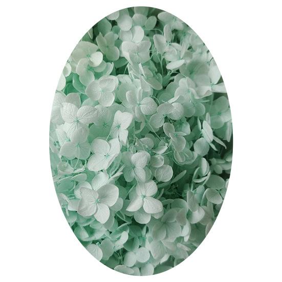 1 коробка, головки сушеных цветов, цветные, изысканные, 21 стиль, отличные привлекательные цветы гортензии, домашний декор