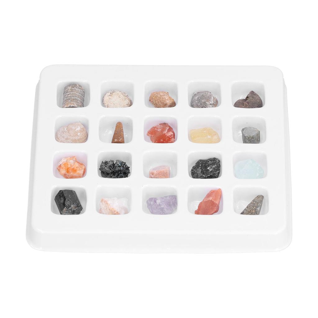 20 Kinds Crystal Gemstones Ornament Colorful Healing Chakra Gemstones for Kids Teacher Collector