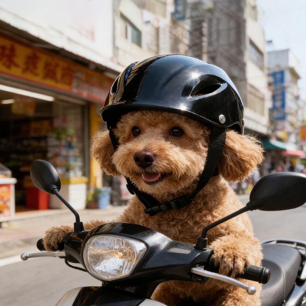 Breathable Pet Helmet Adjustable Strap Cat Helmet New Dog Helmet Pet Accessories
