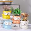 Cute Fox Flower Pot Succulent Pot Ceramics Planter Home Decor Desktop Ornaments Bonsai Plant Pot Garden Decoration