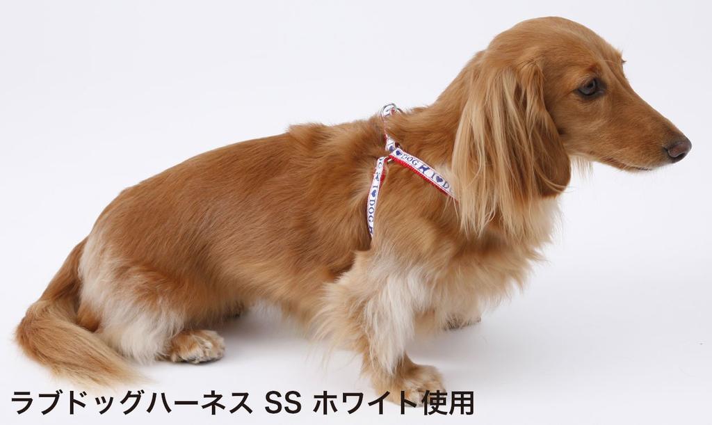 Petio Little Angel Love Dog Harness White for Extra Small Dogs SS Size