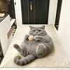 3D кошачий глаз Силикофлора Коврик для пола, Коврик для пола в ванную комнату дома, Быстросохнущий впитывающий влагу Коврик для ног, Легко моющийся Коврик для ванной