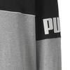 Puma Colorblock Logo Print Crew Neck Sweatshirt Men Tops 673498-04