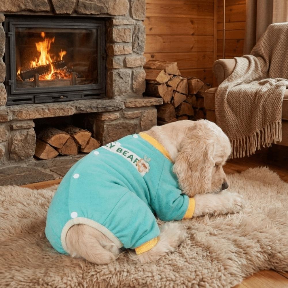 Elastic Dog Four-Legged Clothes Soft Long Sleeves Dog Recovery Suit Color Blocked Anti-licking Pet Jumpsuit Home Wear 4