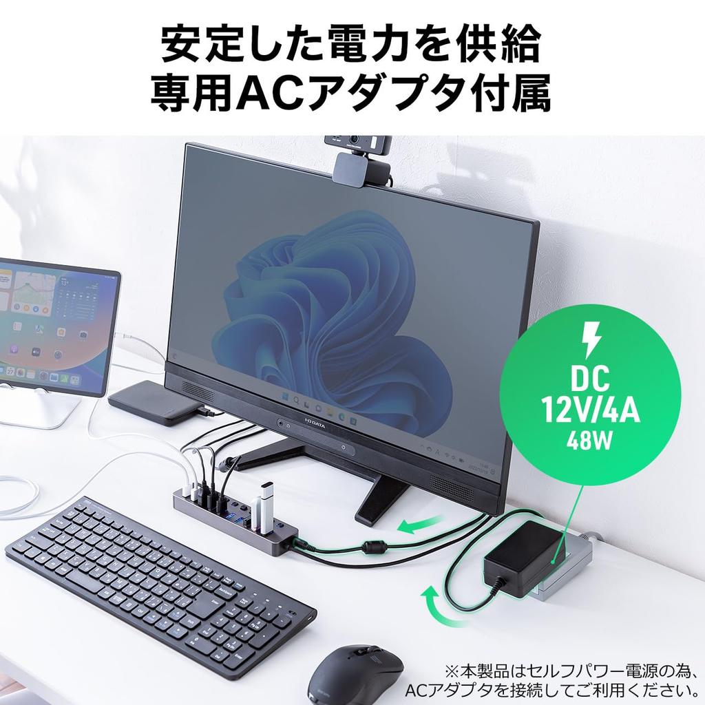 USB-концентратор Sanwa Direct с индивидуальными переключателями USB и AC-адаптером, 10 портов, с внешним питанием, 3.2/5 Гбит/с, (400-HUBA23GM)