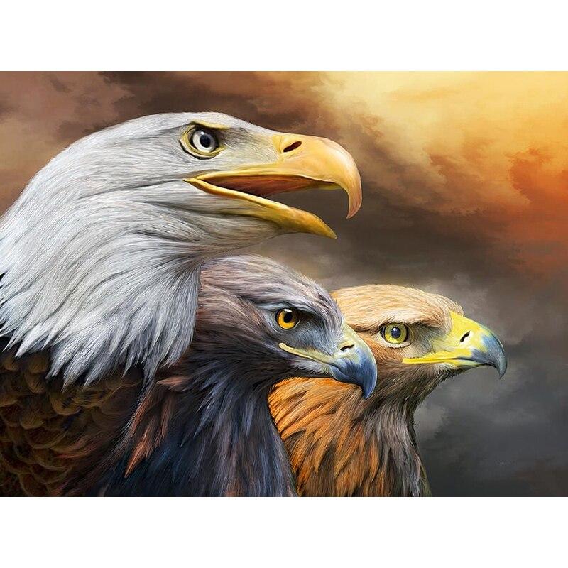 Новый 5D DIY алмазная живопись голова орла Алмазная вышивка животных вышивка крестиком полная круглая дрель домашний декор ручной художественный подарок