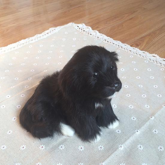 Имитация милой маленькой черной собаки, домашнего автомобиля, настольного реквизита для фотографии, декор, игрушка в подарок