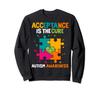 Acceptance Is the Cure Autism Awareness Trainer