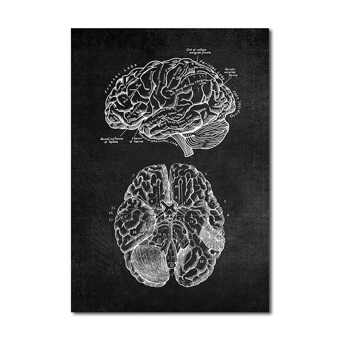 Human Anatomy Artwork Wall Picture Organ Muscle Skeleton Nordic Canvas Print Vintage Poster Art Painting Medical Clinic Decor