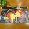 DK 1/2 Amazing Facts Children's Hardcover Book