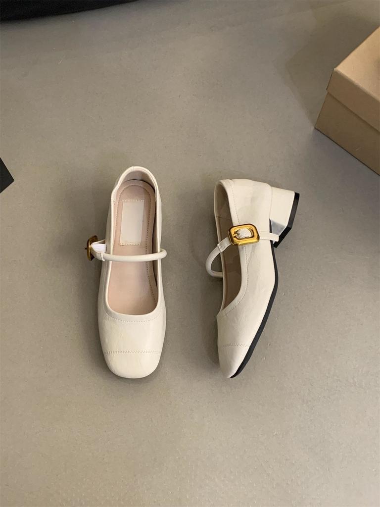 Evening Wind Light Mouth Single Shoes Women's Thick Heel Autumn New Small Leather Shoes Retro Medium Heel Mary Jane Shoes