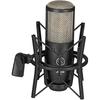 AKG (Игра Аркер) P220 Project Studio Line [Идеально подходит для записи вокала/фортепиано/духовых инструментов, проч...