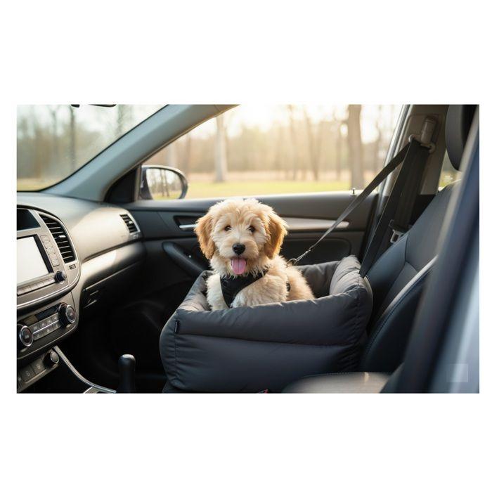 Siege auto voiture pour chien gris