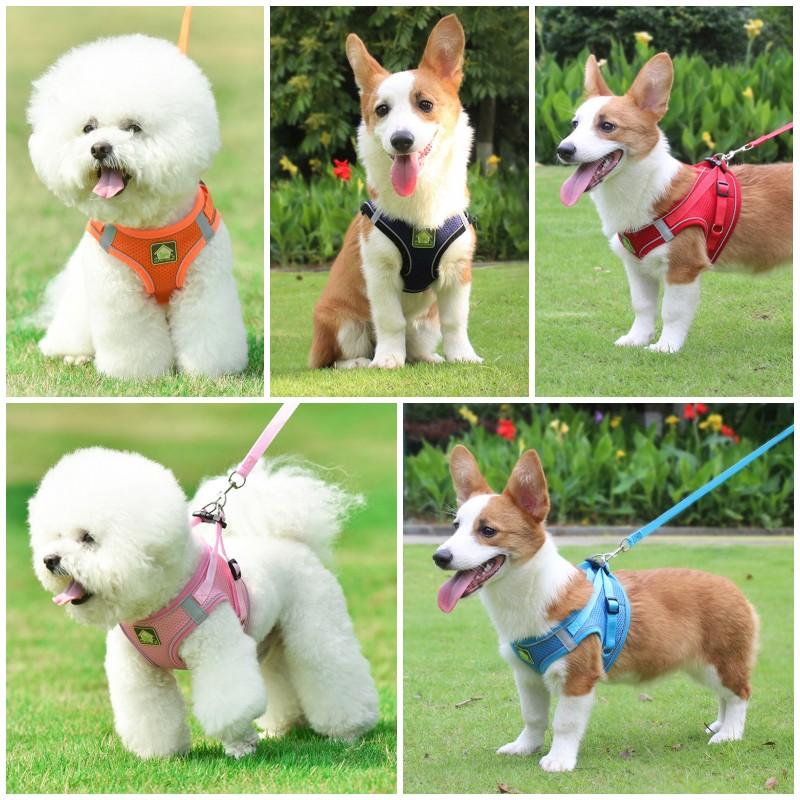 Reflective Pet Harness and Leash Set Breathable Mesh No Pull Dog Chest Strap Anti Escape Cat Traction Rope Walking Dog Supplies