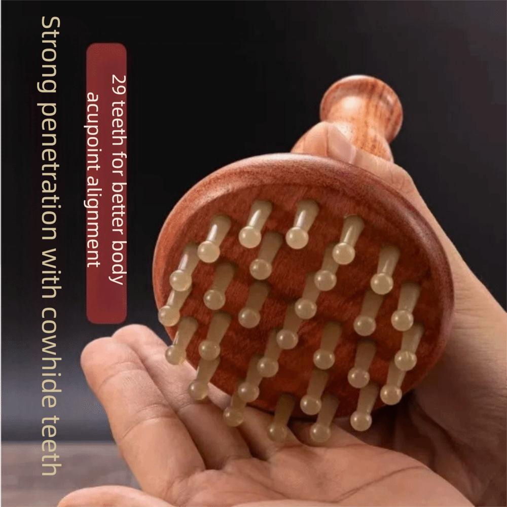 Wood Grain Gua Sha Massage Tool 29 Teeth Wood Meridian Brush Meridian Massager  Scalp Massage