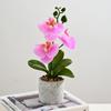 3 Heads Artificial Orchid Flower Advanced Fake Phalaenopsis Bonsai  Party Decor