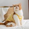 Cat Clothes Spring and Summer Thin Breathable Sandwich Biscuits Suspender Blue Cat Kitten Puppy Pet Vest Cat Clothes
