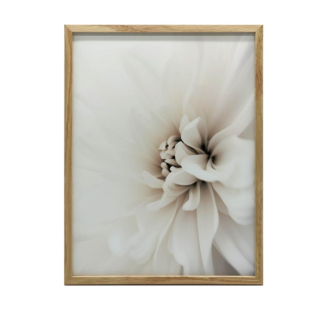 Delicate White Dahlia Delicate White Dahlia, 30X40 Cm, Gold Aluminum Frame, 230 Gsm Matte Paper