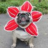 Шляпа для кошек и собак, мягкий удобный аксессуар для костюма демона с милой лентой-застежкой