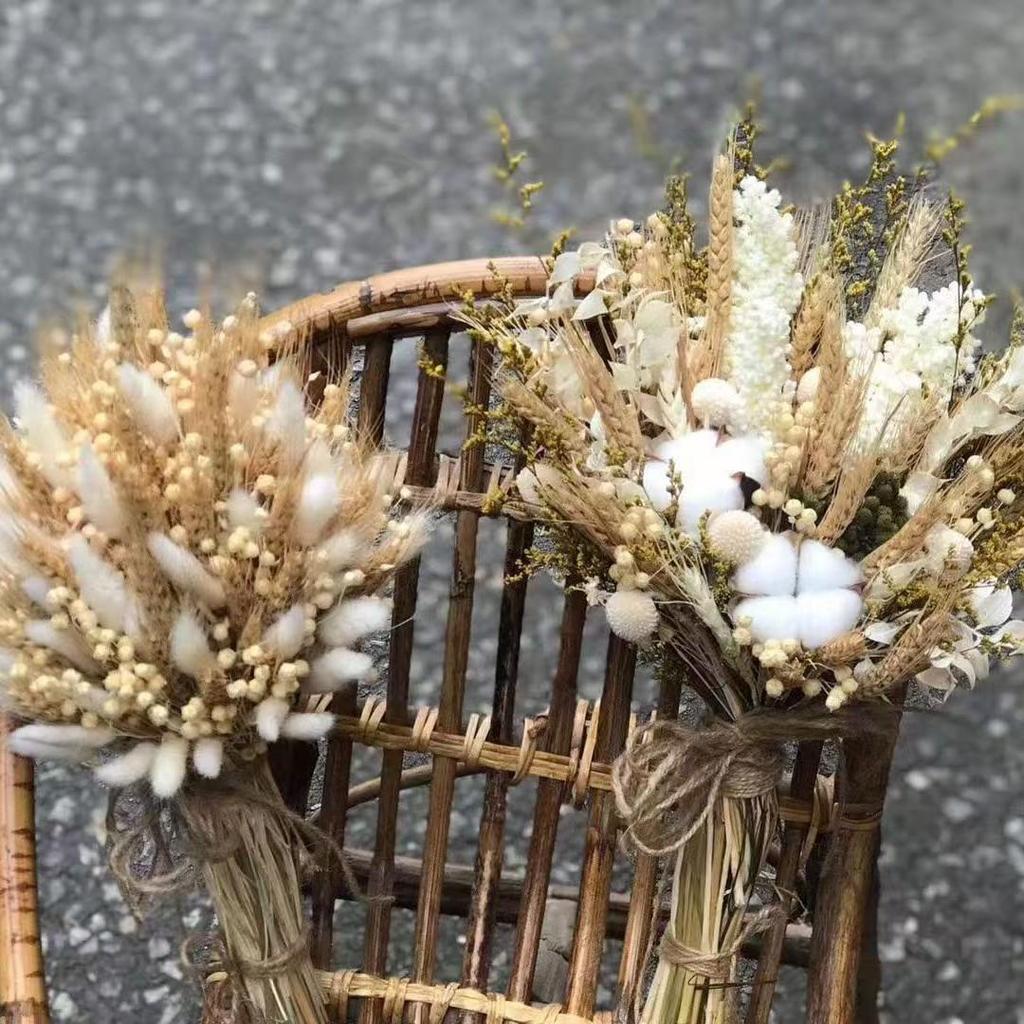 Preserved Rabbit Tail Grass Bouquet - DIY Dried Flower Decoration with Pampas Grass