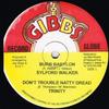 12-дюймовая пластинка SYLFORD WALKER - Burn Babylon НЕТ Joe Gibbs Recor Ямайка Регги, Ска и Даб Б/У