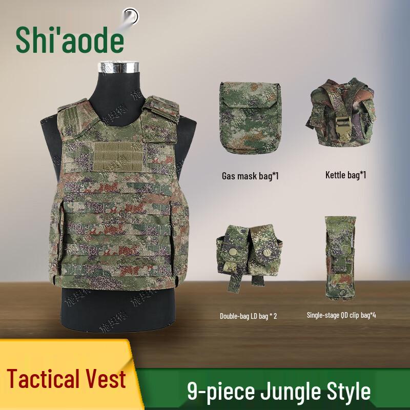 Shi'aode Modular Tactical Combat Carrier System