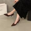 Stiletto High Heels Suede Pointed Single Shoes Women's Shoes 2025 New Spring and Autumn Temperament Socialite Black Commuter Shoes
