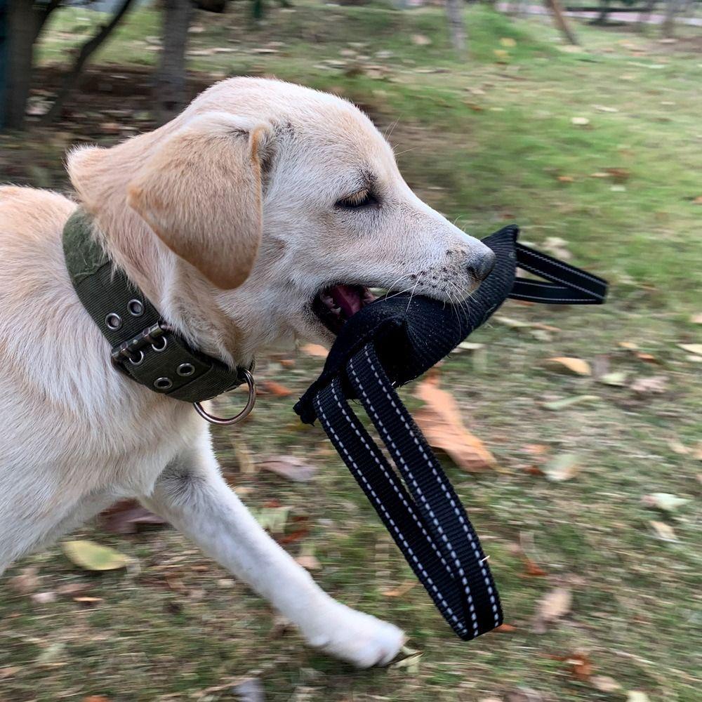 30cm Interactive Dog Tug Toy Jute Bite Pillow Chew Stick Fun Pet Companion Toy