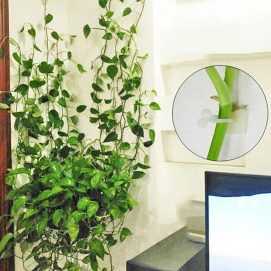 Прочный держатель для растений без перфорации, легкая конструкция ручки, держатель для восхождения на растения для наружного зажима для лозы