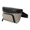 GUCCI Canvas Bag Fanny Pack Mens Light Umber