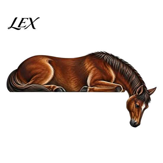 Unique Horse Pattern Art Western Wooden Door Topper Decor, 2D Printed Rustic Frame Indoor Doorway Embellishments Ornament, Top Shelf Decoration