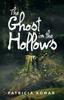 Книга The Ghost In the Hollows