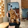 Применимый чехол для мобильного телефона iPhone16, новый чехол для мобильного телефона с изображением пары животных и милых кошек, чехол для мобильного телефона с изображением кошек