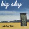 CD ПИТ БАРДЕНС - Big Sky SD8902 СИНДРОМ Не из Японии Джаз Б/у