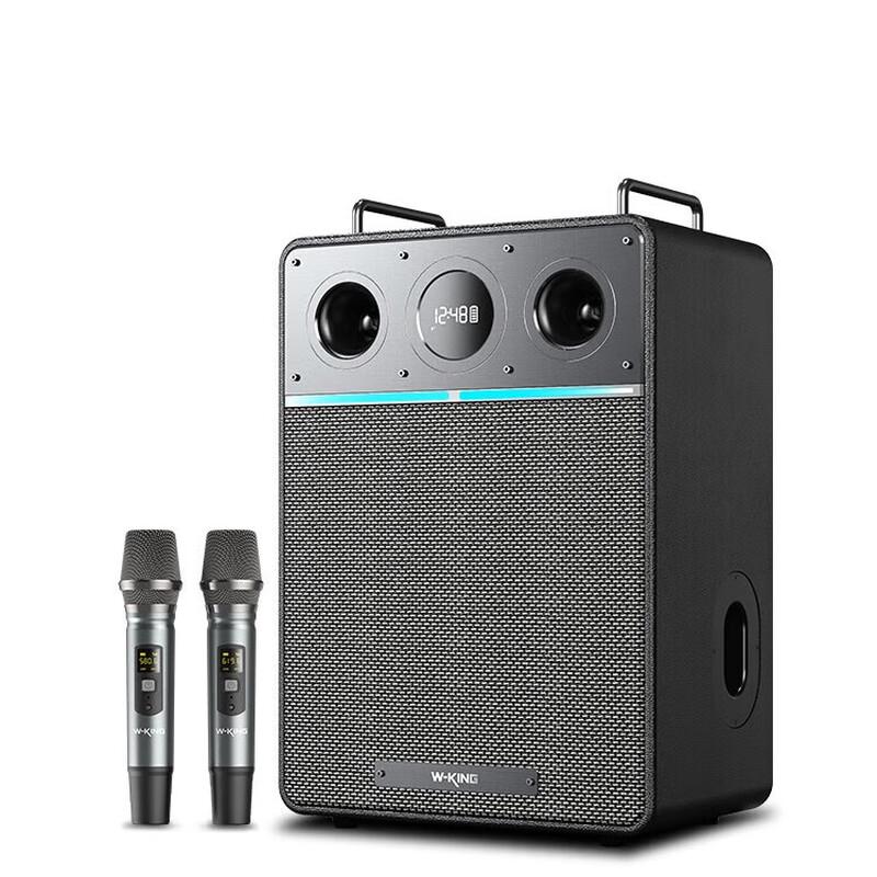 W-King T6Pro Outdoor KTV Bluetooth Speaker
