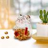 Clear Glass Piggy Bank Saving Container Home Decoration Cute Crafts Sculpture Decorative Cat Shaped