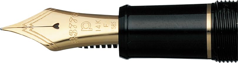 Платиновая перьевая ручка Перьевая ручка B Bold 3776 Century Kanazawa Haku Shoryu Обычный импортный продукт PNB-35000H 57-4